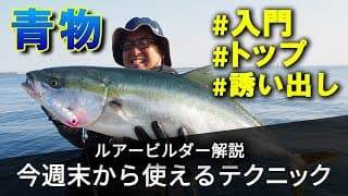ダイビングペンシル・ポッパーの動かし方