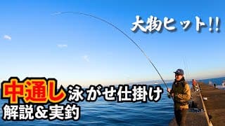 泳がせ釣り（中通しウキ）