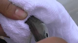 活アジの鼻掛けの仕方