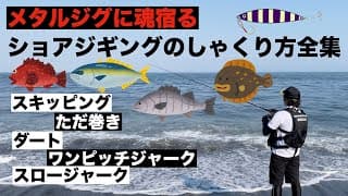 ショアジギングのしゃくり方