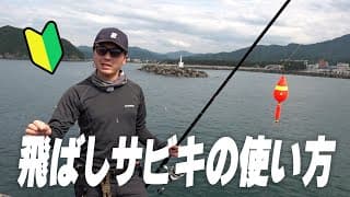 投げサビキ釣りの解説