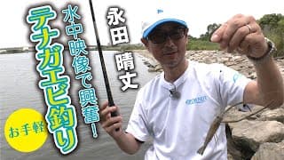テナガエビ釣り入門