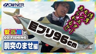 泳がせ釣り（胴付き）