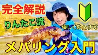 メバル入門講座