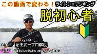ライトショアジギングの始め方