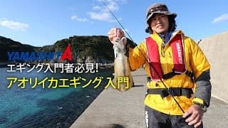 アオリイカエギング入門