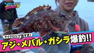 マイクロジグ解説