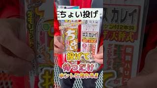 ちょい投げ釣りの説明